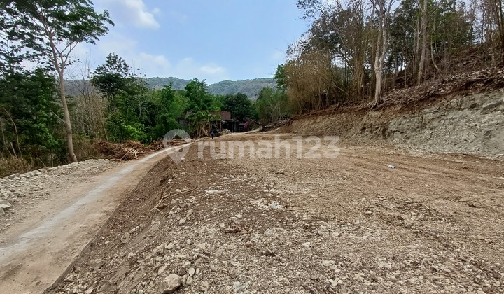 Tanah Murah Jogja 20 Menit Kampus Uad Tanah Murah Jogja 20 Menit Kampus Uad