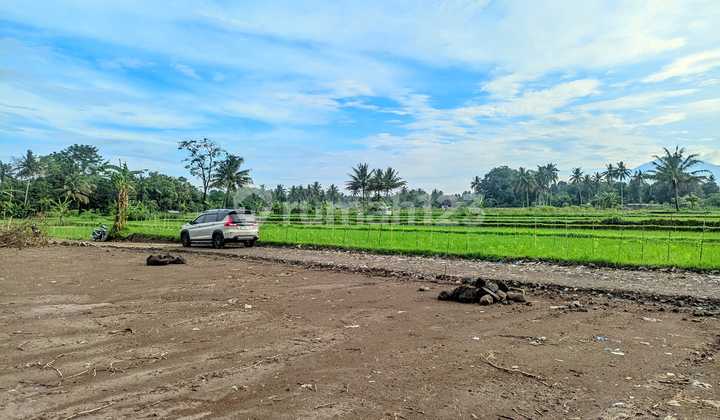 Tanah Murah Ngaglik Lokasi Privat Utara Hotel Hyatt Tanah Murah Ngaglik Lokasi Privat Utara Hotel Hyatt