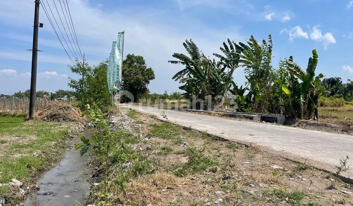 Tanah Sleman Pinggir Ringroad Dekat Kampus Umy Jogja Tanah Sleman Pinggir Ringroad Dekat Kampus Umy Jogja