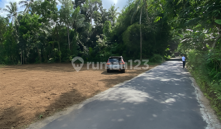 In Mlati Sleman, JL. Magelang, Land around 100 Million, SHM (Certificate of Ownership)