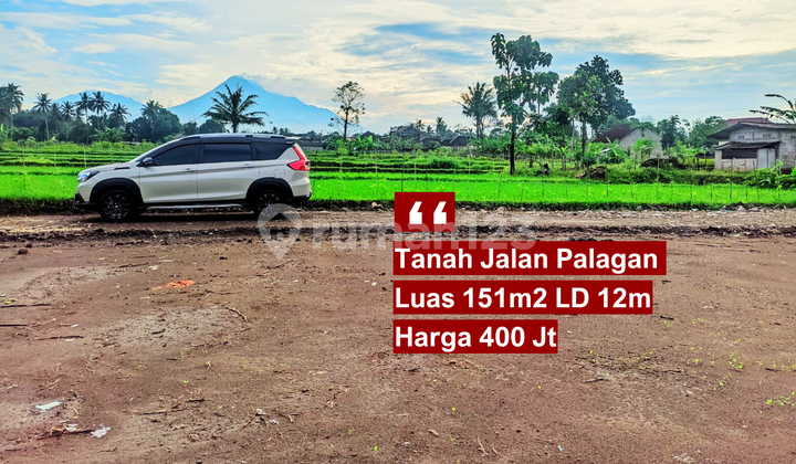 Make Your Dream Come True with a House by the Rice Fields and Mount Merapi View