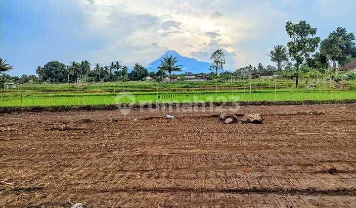 Investasi Tanah di Palagan Jogja – View Gunung & Sawah Hijau