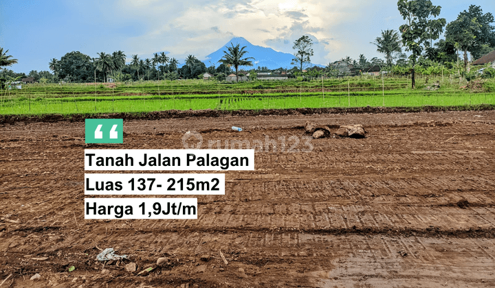 Pingir Sawah View Merapi, Tanah di Jalan Palagan Jogja