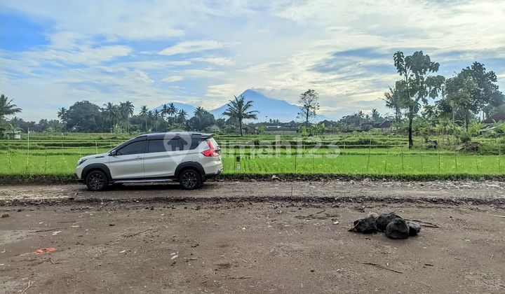 View Gunung Tanah Pingir Sawah Dekat Jalan Magelang Jogja