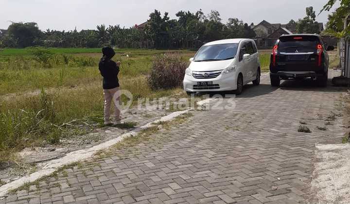 For Sale Quick Land in Jogja City, Rice Field Edge – Ready for Deed Today For Sale Quick Land in Jogja City, Rice Field Edge – Ready for Deed Today