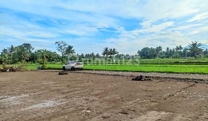 Exclusive Land Battlefield – Surrounded by Rice Fields and Stunning Merapi View