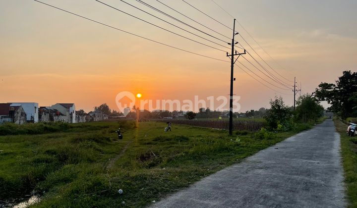 Near Ringroad Godean Road, Sidoarum Land, Edge of Rice Fields