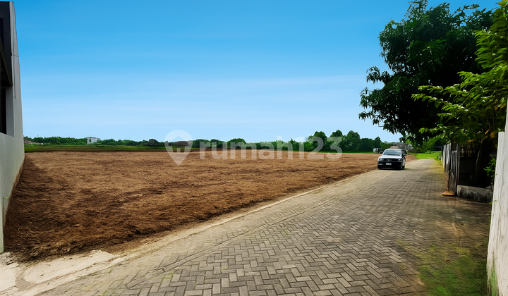 In Yogyakarta City, Ready-to-Build Rice Field Edge Land with SHM P
