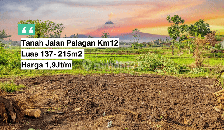 1,9 Jt/m Tanah Murah Dekat Pasar Rejodani Jalan Palagan 1