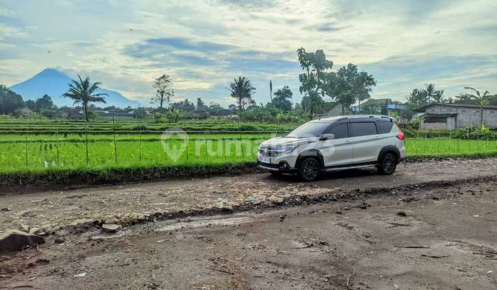 Tanah Asri Dekat Jalan Palagan – Alam Indah dan Udara Segar