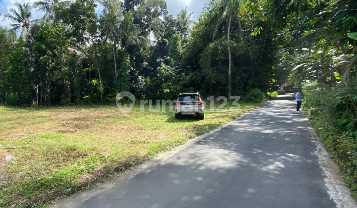 Cheap Land in Jogja Near Sleman Regency Government Office