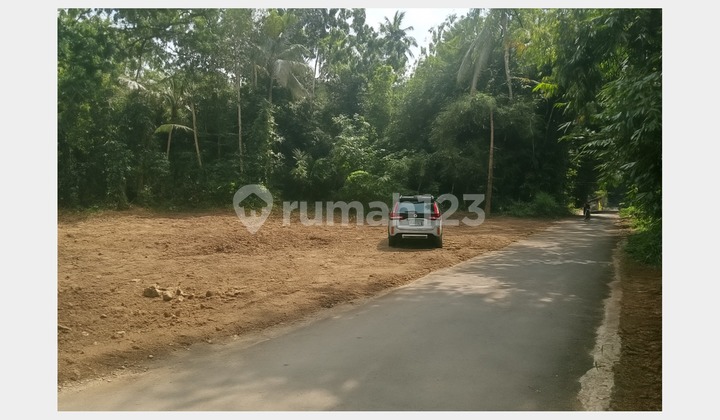 Near Sleman Market Cheap Land 157 Jt Area 90M