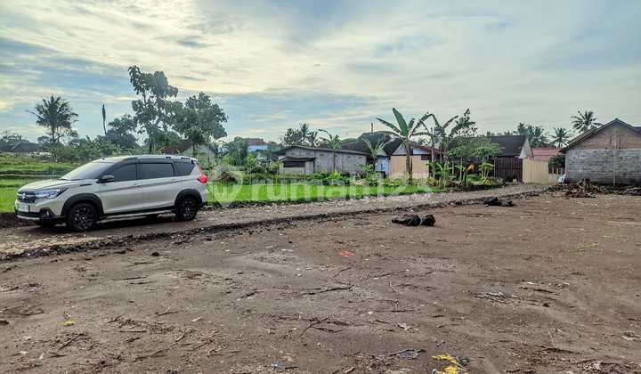 Wujudkan Inpianmu Punya Rumah Pingir Sawah View Gunug Merapi 2