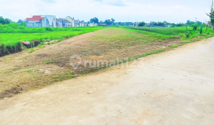 Homestead Land Beside Rice Fields in Sidoarum, Godean Road