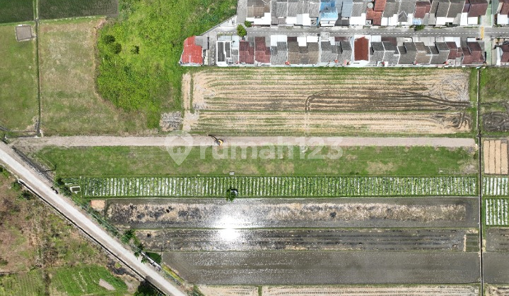 Nyamana untuk Bangun Rumah Tepi Sawah, Tanah Sidoarum Godean 2
