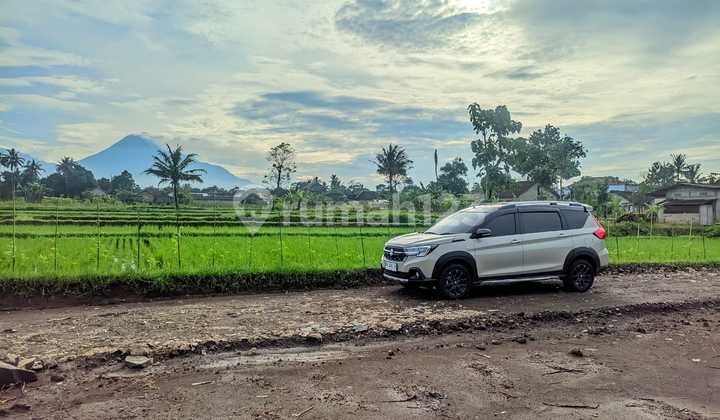 Rice Field Edge Land in Palagan with Mount Merapi View