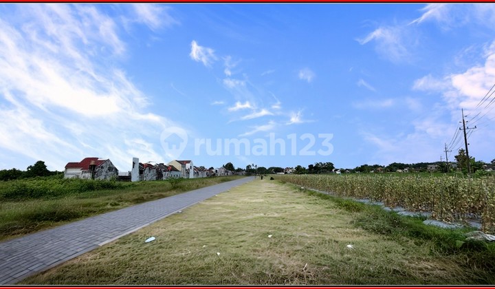 8 Menit Kampus UMY Tanah Sleman Godean Cicilan 12x Tanpa Bunga 8 Menit Kampus UMY Tanah Sleman Godean Cicilan 12x Tanpa Bunga