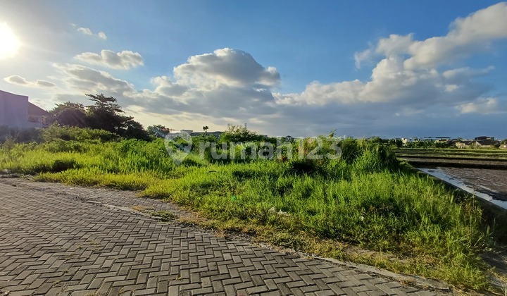 Tanah Murah Selatan Royal Ambarukmo, Pekarangan, Siap AJB  2