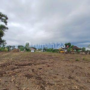 Tanah Murah Sleman, Lingkungan Asri, Cocok Bangun Rumah 1