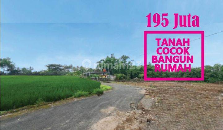 Tanah Nuansa Sejuk Asri di Kalasan, Cocok Bangun Rumah, 1 Jt-an/m 1