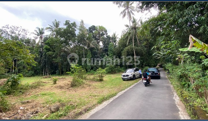 Tanah Area Pemda Sleman100 Jtan Free BPHTB 200 Meter Gor Tridadi