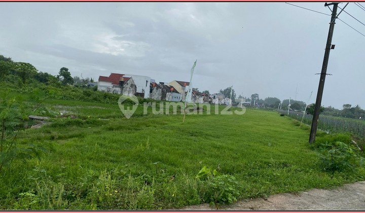 Belakang Sekolah Al-Azhar Godean Free BPHTB & AJB