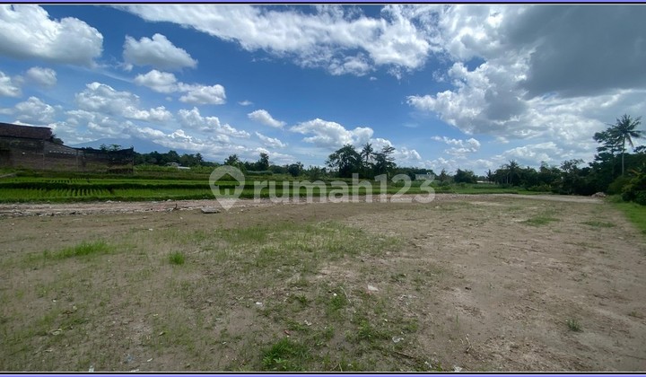 5 Menit Mall Sleman City Hall 300 Jtan Fre Desain Rumah