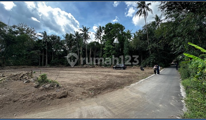 Tanah Area Pemda Sleman100 Jtan Free BPHTB 200 Meter Gor Tridadi Tanah Area Pemda Sleman100 Jtan Free BPHTB 200 Meter Gor Tridadi