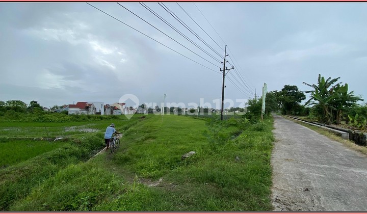 Belakang Sekolah Al-Azhar Godean Free BPHTB & AJB Belakang Sekolah Al-Azhar Godean Free BPHTB & AJB
