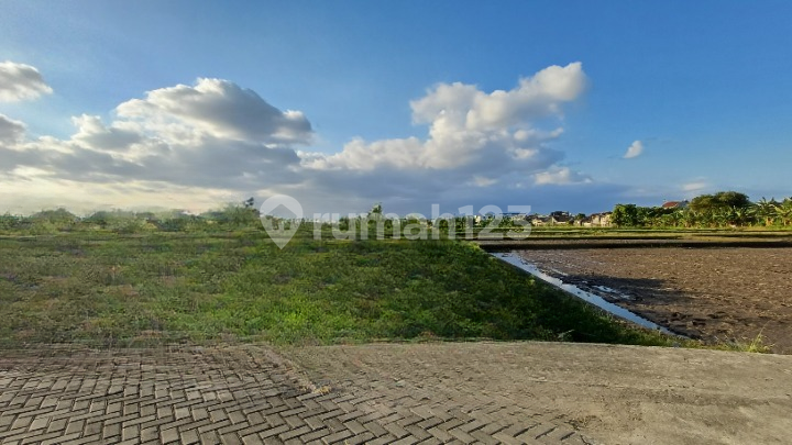 Tanah Selatan Royal Ambarukmo, Siap AJB, View Sawah 1