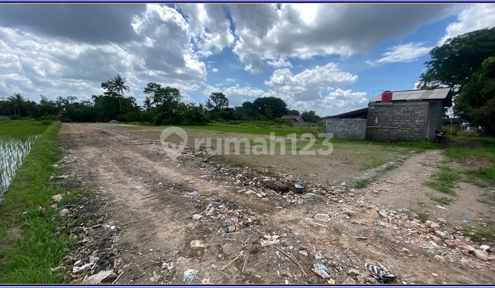 Area Pandowoharjo 3Jtan/M Potongan Harga Puluhan Juta