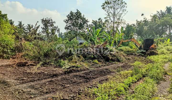 Area Pandowoharjo Tanah Sleman 5 Menit Masjid Suciati