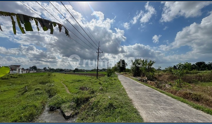 Tanah Jogja Area Godean 3 Menit Jl. Ringroad Timur SHM Pekarangan Tanah Jogja Area Godean 3 Menit Jl. Ringroad Timur SHM Pekarangan