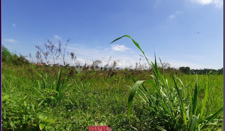 5 Menit Kampus Atmajaya Mrican Siap Bangun Free Biaya AJB