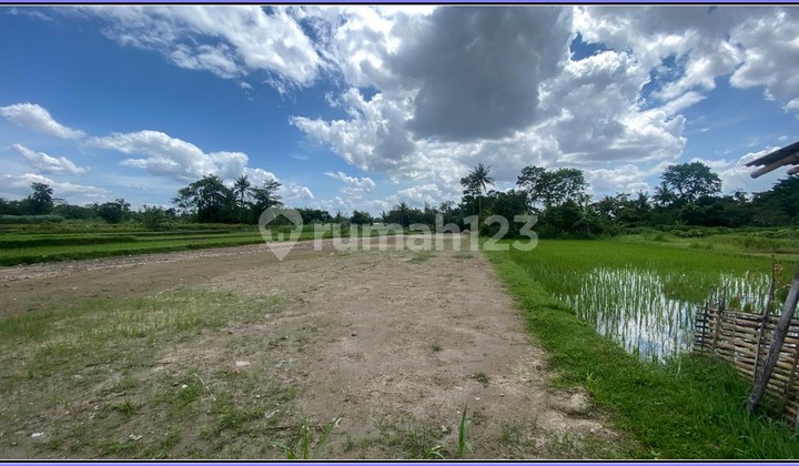 Area Pandowoharjo 3Jtan/M Potongan Harga Puluhan Juta