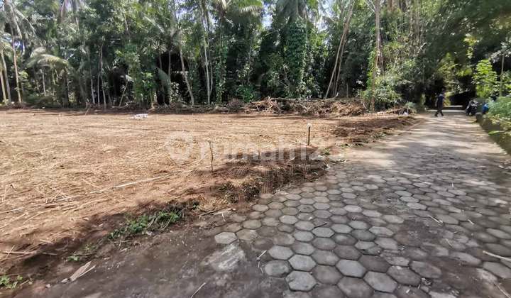 200 Meter Gor Tridadi Sleman Free Desain Rumah & Biaya Balik Nama
