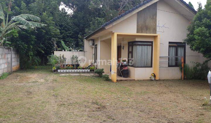 Jual Rumah Dengan Tanah Luas Murah Shm Nego Strategis Dekat Kantor Walikota 1