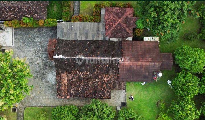 Tanah Luas Dengan Rusa Dan Aneka Tanaman Buah 2