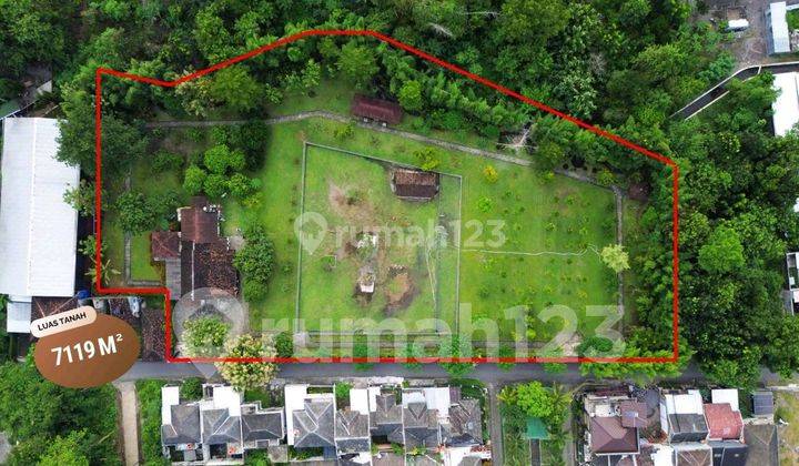Tanah Luas Dengan Rusa Dan Aneka Tanaman Buah 1