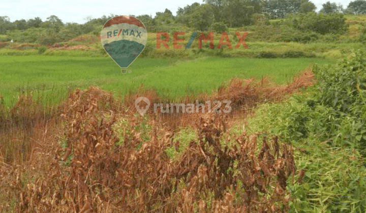 TANAH 1,5 HEKTAR DEKAT DENGAN PERUMAHAN DI SOLEAR TANGERANG 2