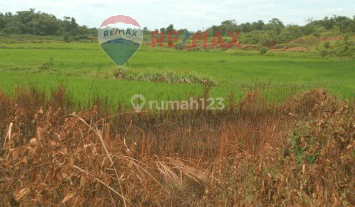 TANAH 1,5 HEKTAR DEKAT DENGAN PERUMAHAN DI SOLEAR TANGERANG 1