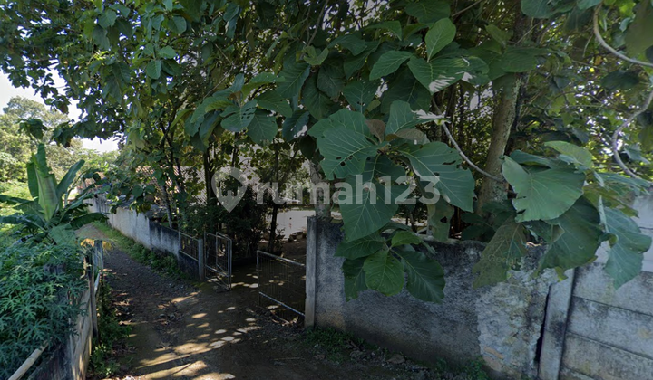 TANAH GUNUNG SINDUR BOGOR, COCOK UNTUK PETERNAKAN TANAH GUNUNG SINDUR BOGOR, COCOK UNTUK PETERNAKAN