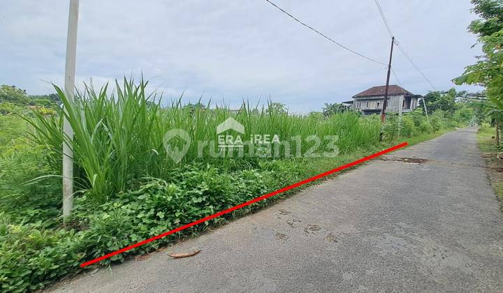 Tanah Jogja Dijual Dekat Kampus Unisa