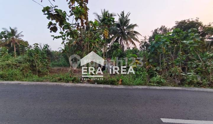 Dijual Tanah Jogja Dekat Museum Coklat Monggo