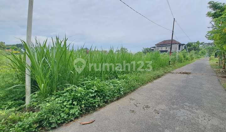 Affordable Land in Jogja Near Unisa Campus