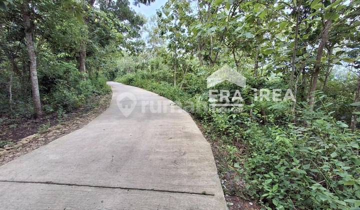 Affordable Land in Yogyakarta Near Kopi Puncak Rindu Affordable Land in Yogyakarta Near Kopi Puncak Rindu