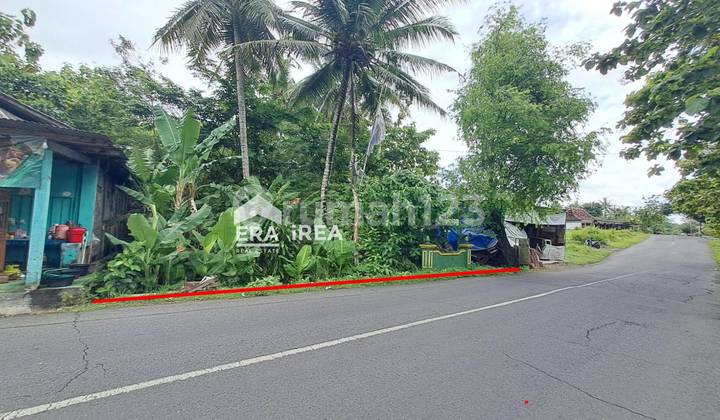 Tanah Dijual di Kulon Progo Dekat Pasar Sentolo Tanah Dijual di Kulon Progo Dekat Pasar Sentolo