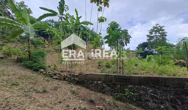 Dijual Tanah Jogja Dekat Kampus UMY