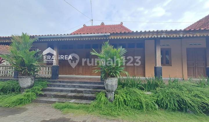 Rent a House in Jogja Near UGM Campus