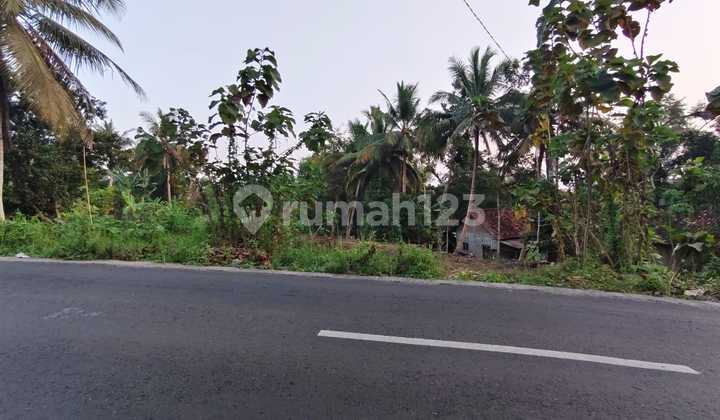 Dijual Tanah Jogja Dekat Museum Coklat Monggo